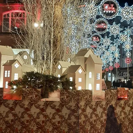 Brit Centre 3* Mulhouse