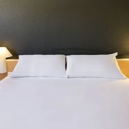 Brit Centre Hotel Mülhausen