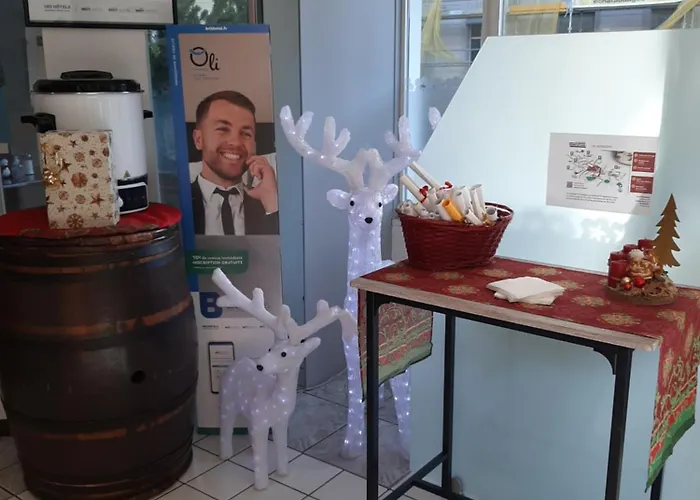 Brit Centre Hotel Mulhouse